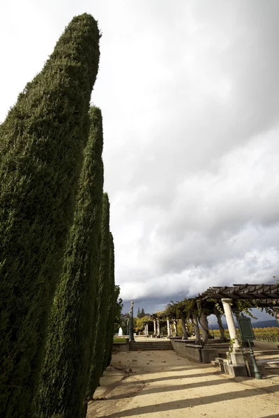 Cypress lemovaly cestu — Stock fotografie