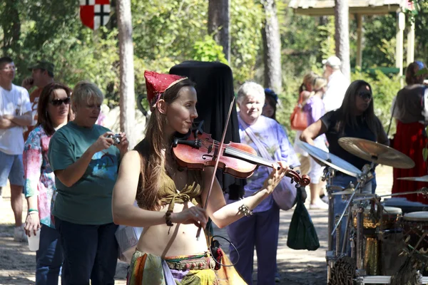 stock image Violinist