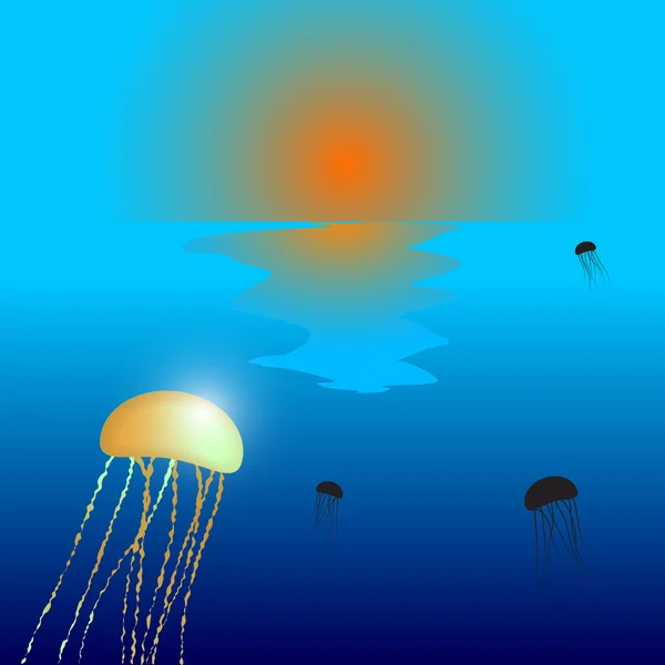 Jellyfish sunset — Stock Vector