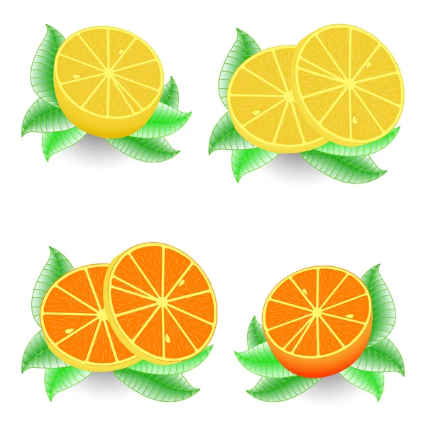 stock vector Sliced orange and lemon