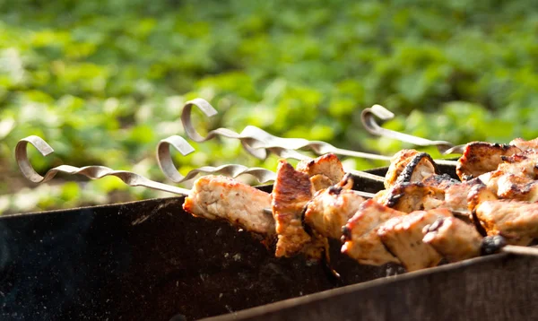 Kebab fresco prepara-se no fogo ao ar livre — Fotografia de Stock