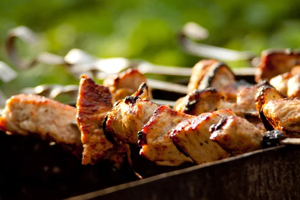 Čerstvý kebab připravuje na ohni venku — Stock fotografie