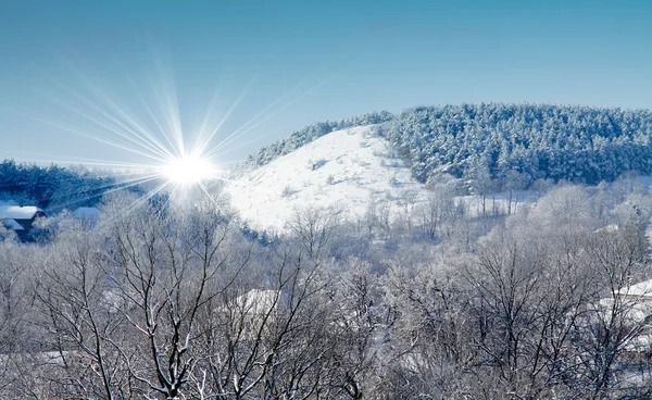 Красивый зимний пейзаж с заснеженными деревьями. — стоковое фото