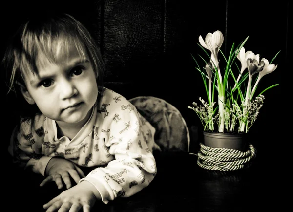 Child and the spring flowers crocus — Stock Photo, Image