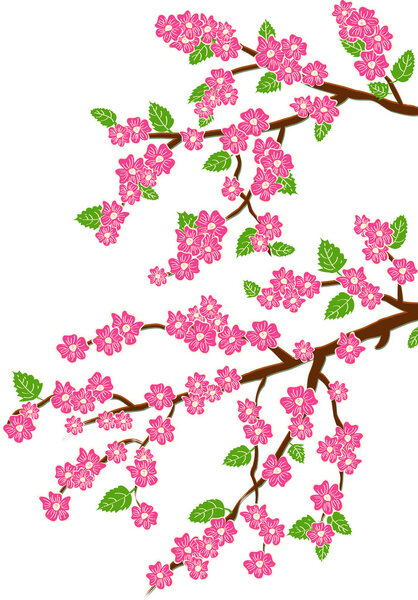 Background with cherry blossom