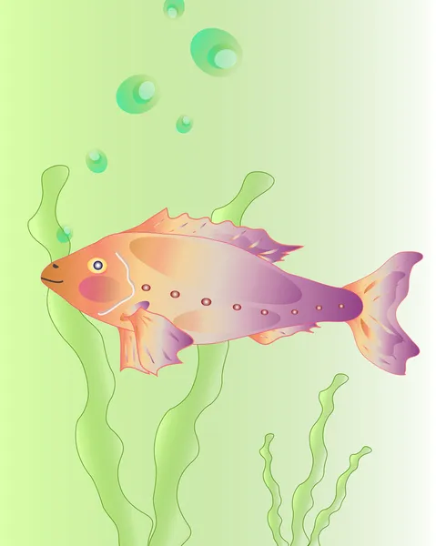 stock vector Decorative fish