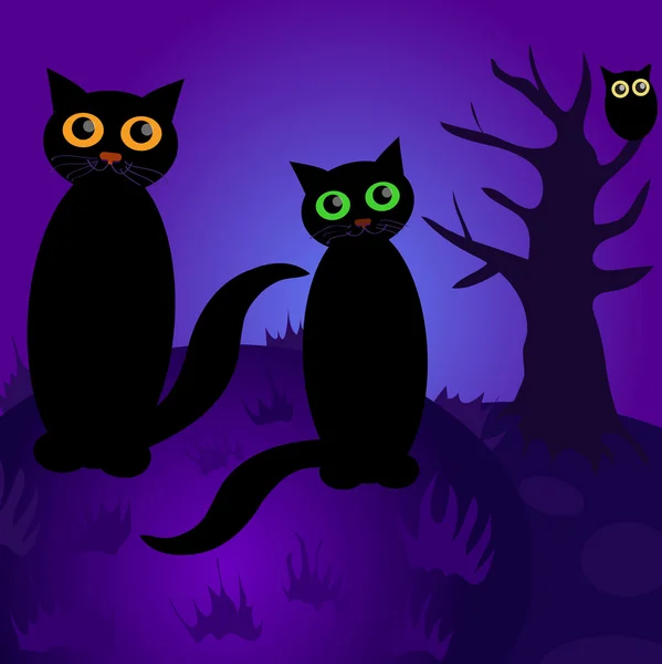 Katten 's nachts — Stockvector