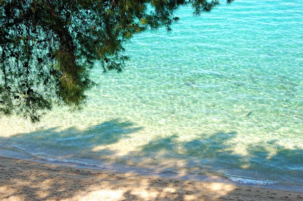 Plaj ve turkuaz su, Ege Denizi, Halkidikya, Yunanistan — Stok fotoğraf