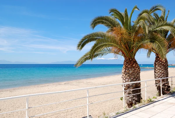 Plaj ile palmiye ağaçları ve arka plan üzerinde dağ olympus ha — Stok fotoğraf