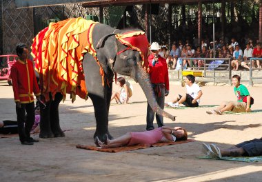 Pattaya, thailand - 7 september: de beroemde olifant in niet weergeven