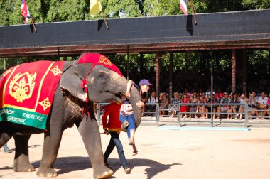 Pattaya, thailand - 7 september: de beroemde olifant in niet weergeven