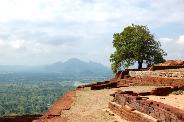 Sigiriya (Lví skála) je starověké skalní pevnost — Stock fotografie