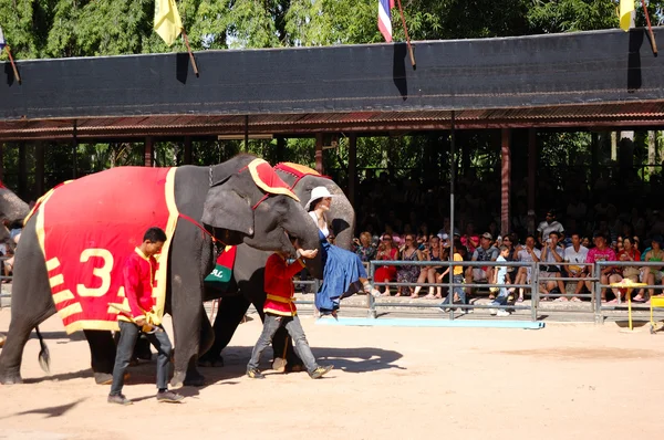 PATTAYA, THAILAND - SEPTEMBER 7: The famous elephant show in Non — Stock Photo, Image