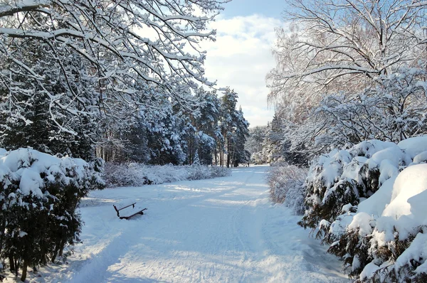 stock image Walking path, bench and snow in Oleksandriya Park, Bila Tserkva,