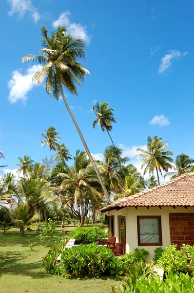 Willa wakacyjna w popularnym hotelu i palmach, Bentota, Sri Lanka — Zdjęcie stockowe
