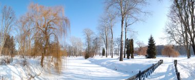 The panorama of trees and river covered with snow in Oleksandriy clipart