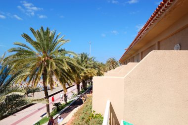 plaj manzarası balkon lüks otel, tenerife, ada, spa