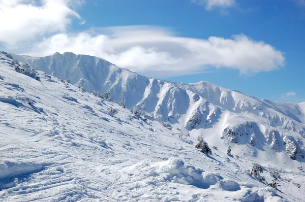 Zona de paseo libre en Jasna estación de esquí, Baja Tatras, Eslovaquia — Foto de Stock