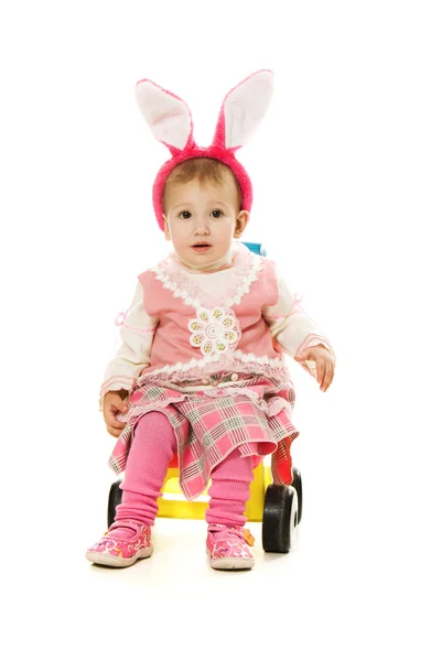 Baby kaninöron att rida med sidovagn . — Stockfoto