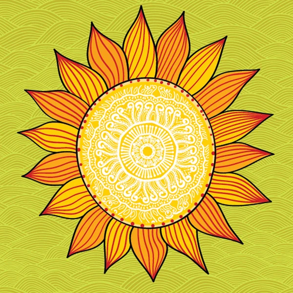 Ізольований малюнок соняшнику на білому — стоковий вектор