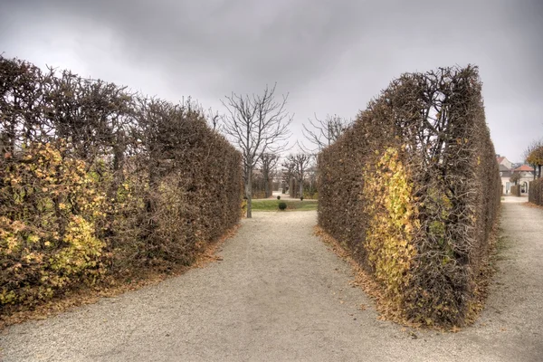 Herfst in belvedere park — Stockfoto