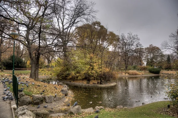 Sonbahar Viyana Park — Stok fotoğraf