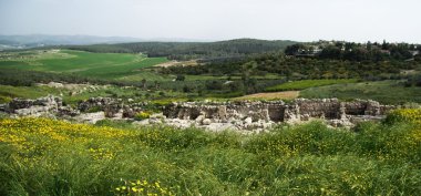 Tel gezer görünümü ve acheology