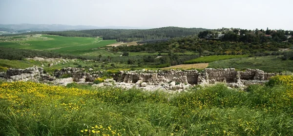 Tel Gezer vista e acheologia — Foto Stock