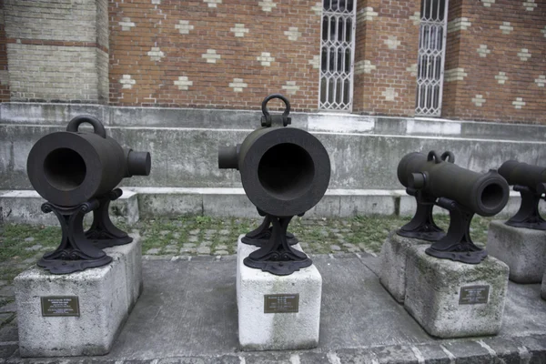 Old Cannons — Stock Photo, Image