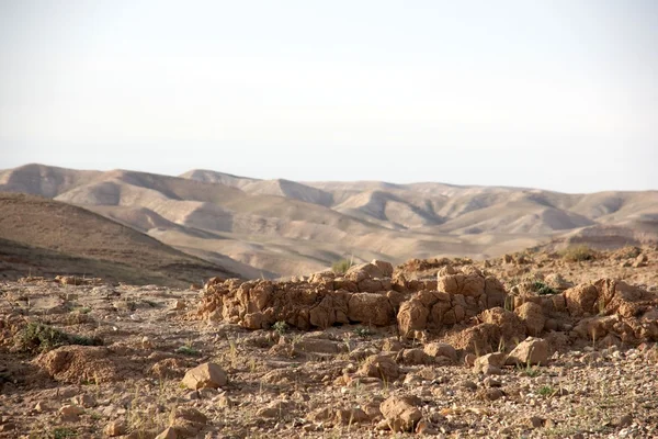 stock image Hiking in stone judean desert israeli tourism