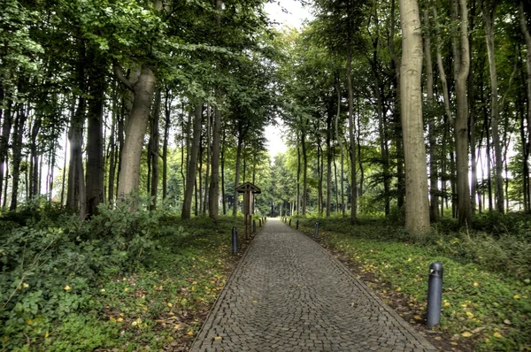 Kasteel en park van beloeil in België — Stockfoto
