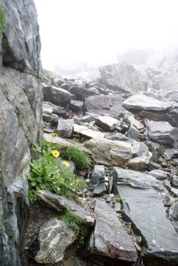 Yaz aylarında frensh alpes hiking