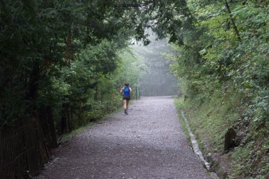 Morning run in Grenoble clipart