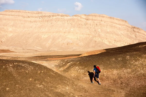 stock image Desert landscapes