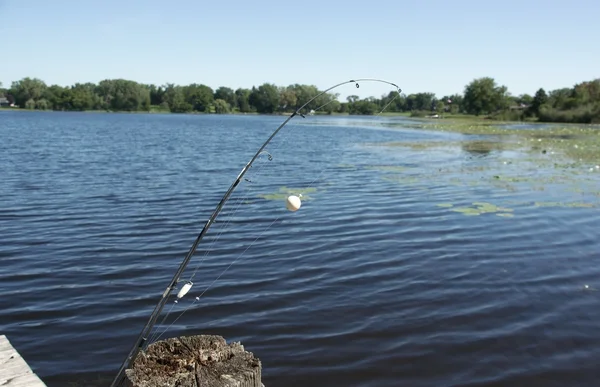 stock image Fishing vacation in Illinois