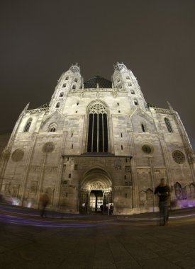 Aziz stephan Katedrali, Viyana