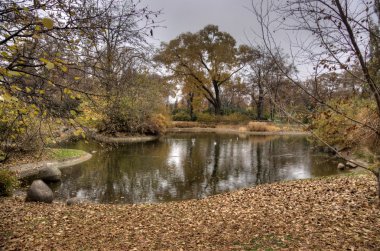 sonbahar Viyana Park