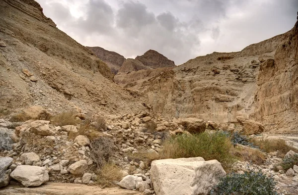Ιουδαϊκή έρημο κοντά σε νεκρά θάλασσα — Φωτογραφία Αρχείου