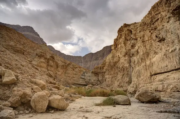 Ölü Deniz kenarında Judean desert — Stok fotoğraf