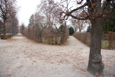 Belvedere Sarayı yakınında park