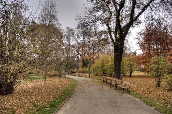 维也纳公园的秋天 — 图库照片
