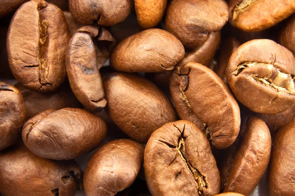 stock image Coffee beans