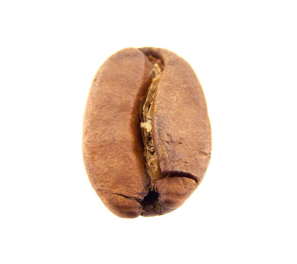 コーヒー豆分離 — ストック写真