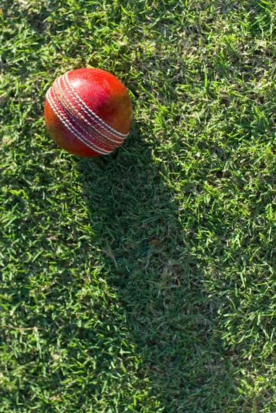 Cricket Ball On Grass — Stock Photo, Image