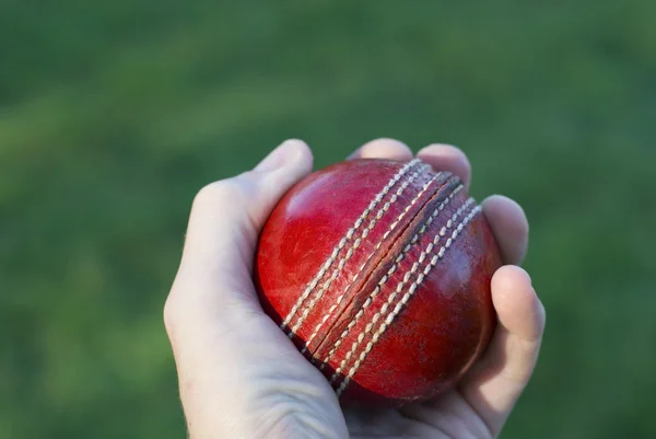 Рука тримає крикетний м'яч — стокове фото