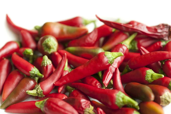Röd chili — Stockfoto
