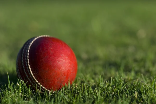 Piros krikett labda, fű — Stock Fotó