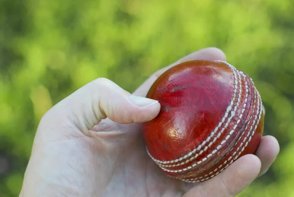 Рука тримає крикетний м'яч — стокове фото
