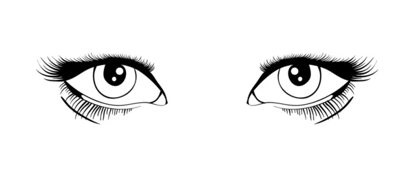Τα μάτια του φορέα — Διανυσματικό Αρχείο