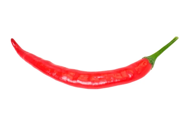 Stock image Chile pepper